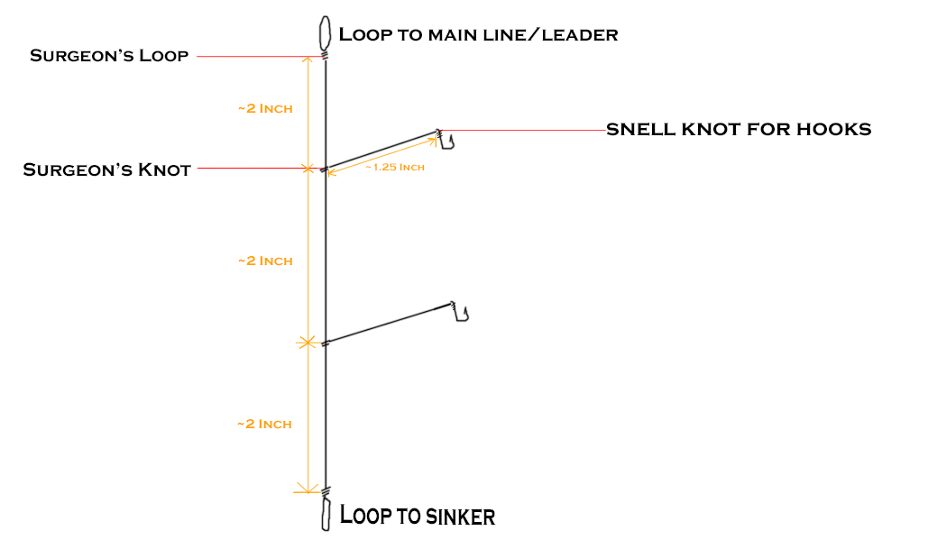 Be a Jenius Catching Sand Whiting Jenius