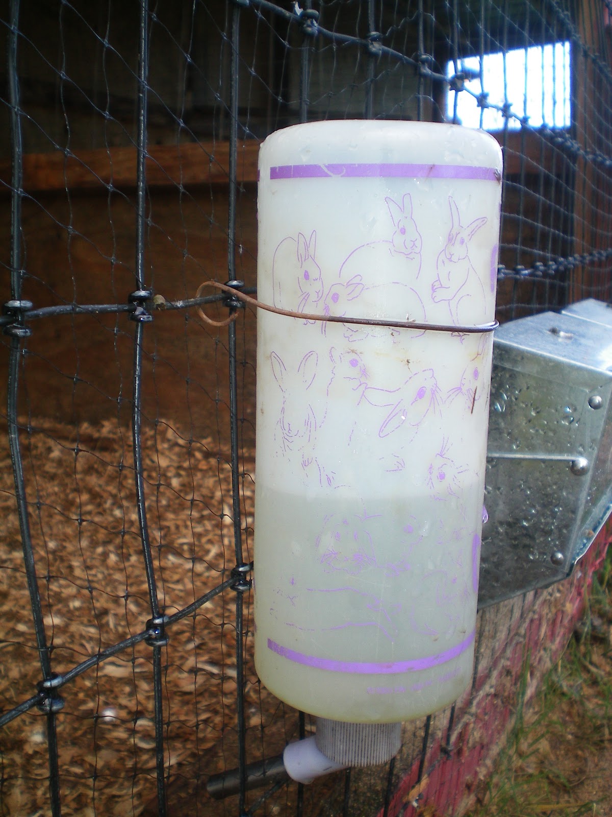 Just Chickens... cheap and easy waters and feeders