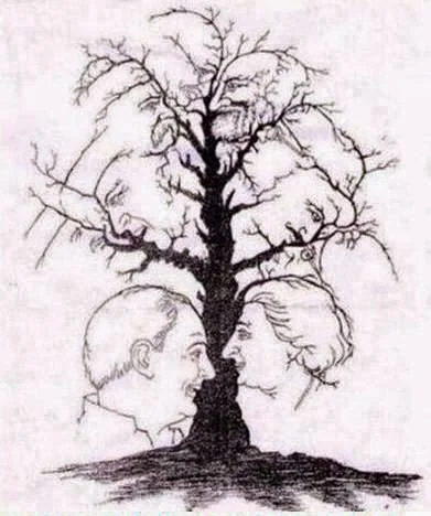 Hidden Faces Picture Brain Teasers: Observational Test-1