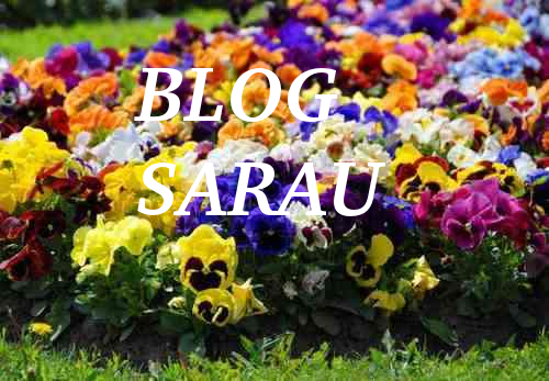 Blog Sarau - Música, livros, poesias famosas.
