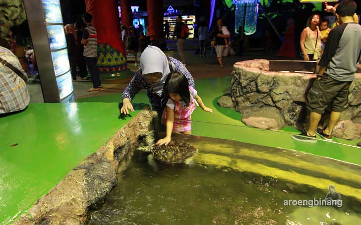 sea world ancol jakarta