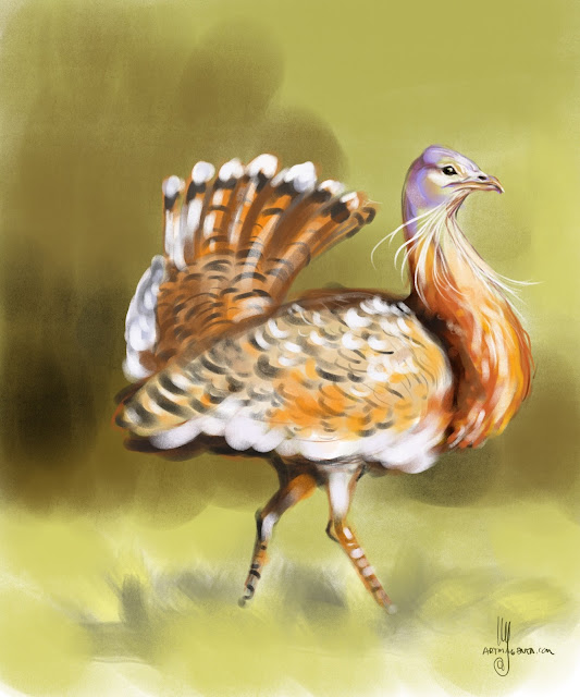 Great Bustard bird painting by Artmagenta
