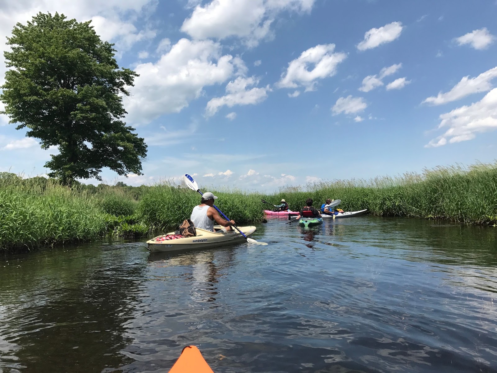 Hudson Valley Kayaks Kayak Rentals Brought to Each Venue Photo