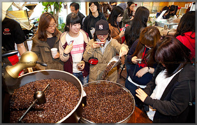 Gangneung : Coffee Festival Gangneung : Coffee Festival