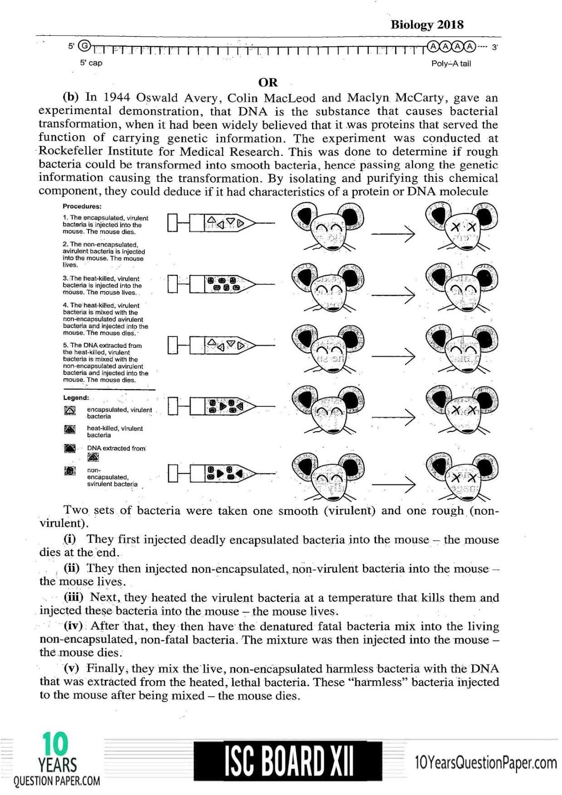 class 12 Solved Biology Last year question paper ISC Biology 2018 Solved Previous Year Paper Class 12 Page-12
