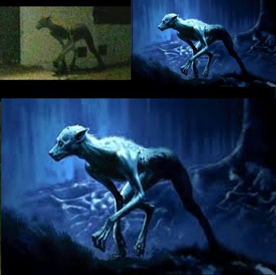 Criatura-Misteriosa-Argentina-comparação-desmacarada