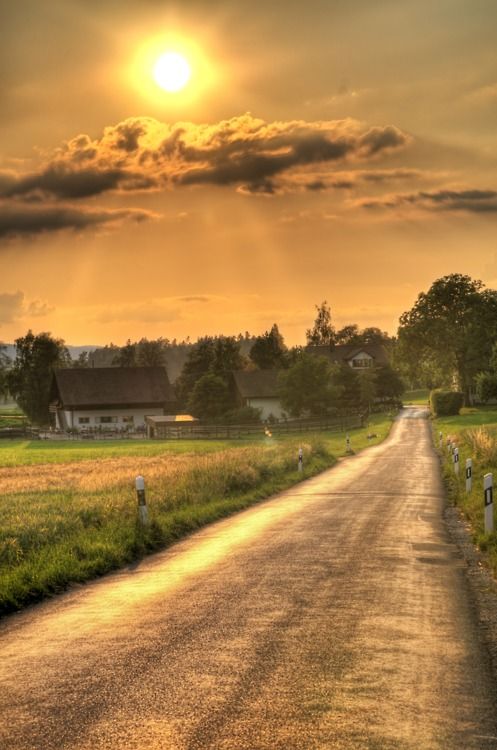 dirt road country road on the road again trees grey snow winter of nature country side poet an dirt road dirt road country road on the road again trees grey snow winter of nature country side poet an dirt road