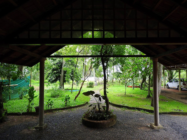 That's what you see when you step out of your room at Vembanad Lake Villa in Kerala homestay, Vembanad, Kerala, India, lake