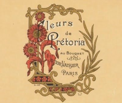 Fleurs de Prétoria