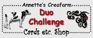 Duo Challenge