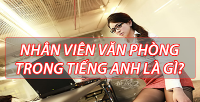 Nhân viên văn phòng tiếng anh là gì? Nhân viên văn phòng tiếng anh là gì?