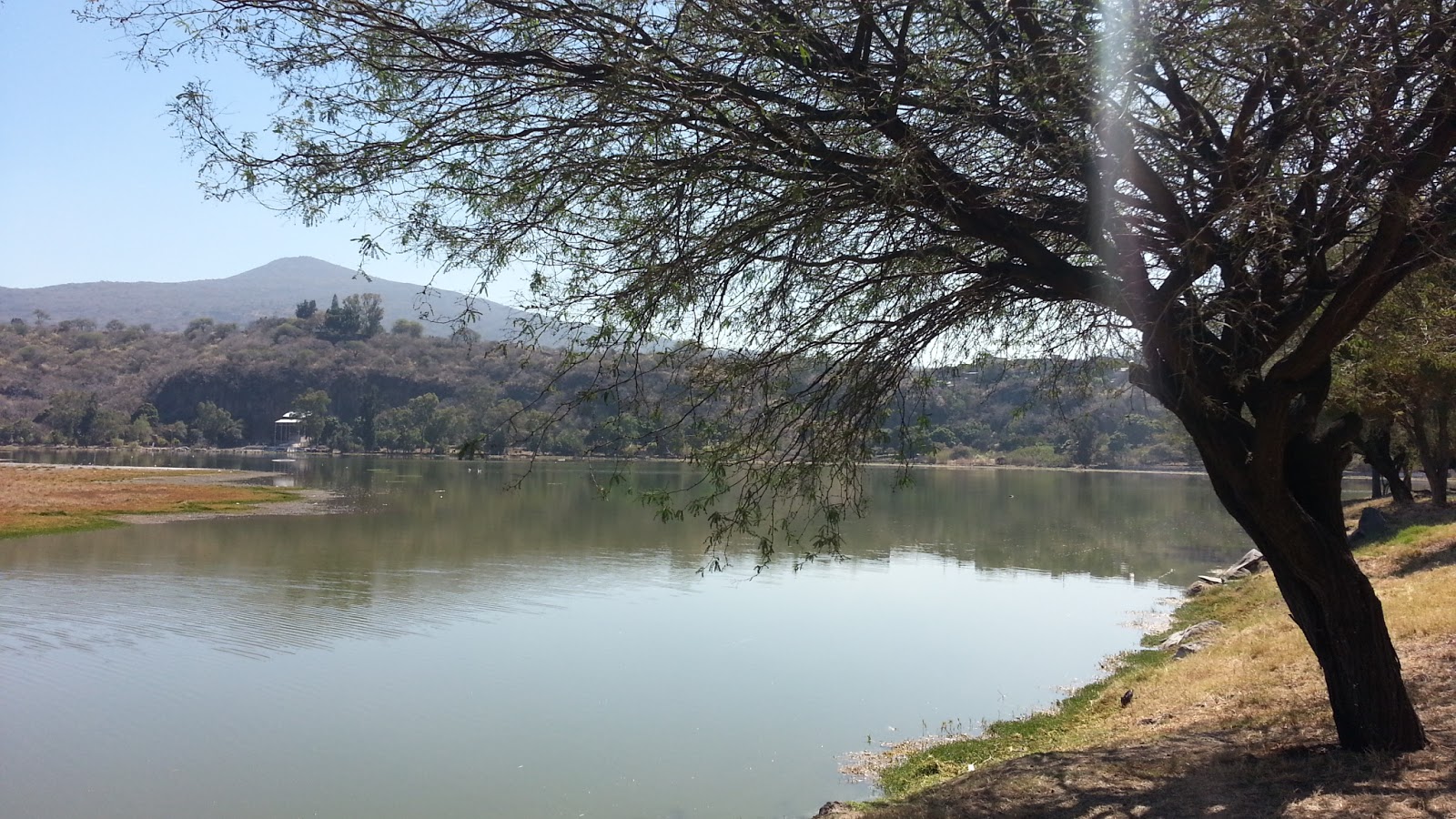 Gervacio Mendoza La Joya, Yuriria 16 fotos.