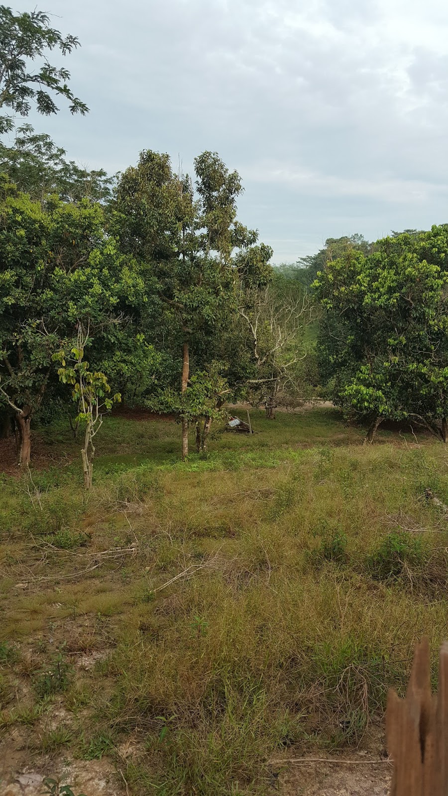 Syarat Permohonan Rumah Mesra Rakyat Johor  Opening m