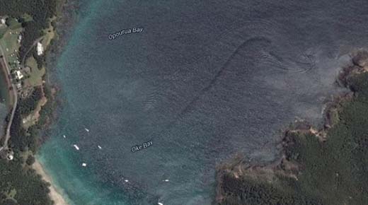 Desconocida criatura marina captado en aguas de Nueva Zelanda por Google Earth