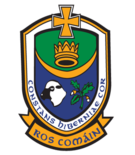 Logainmneacha Ros Comáin / Roscommon Placenames