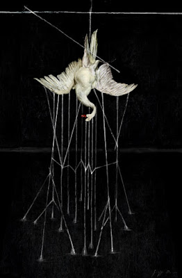 giuseppe piovesan - le cygne (the swan) - 2015 Giuseppe Piovesan/All rights reserved.2011-2015.