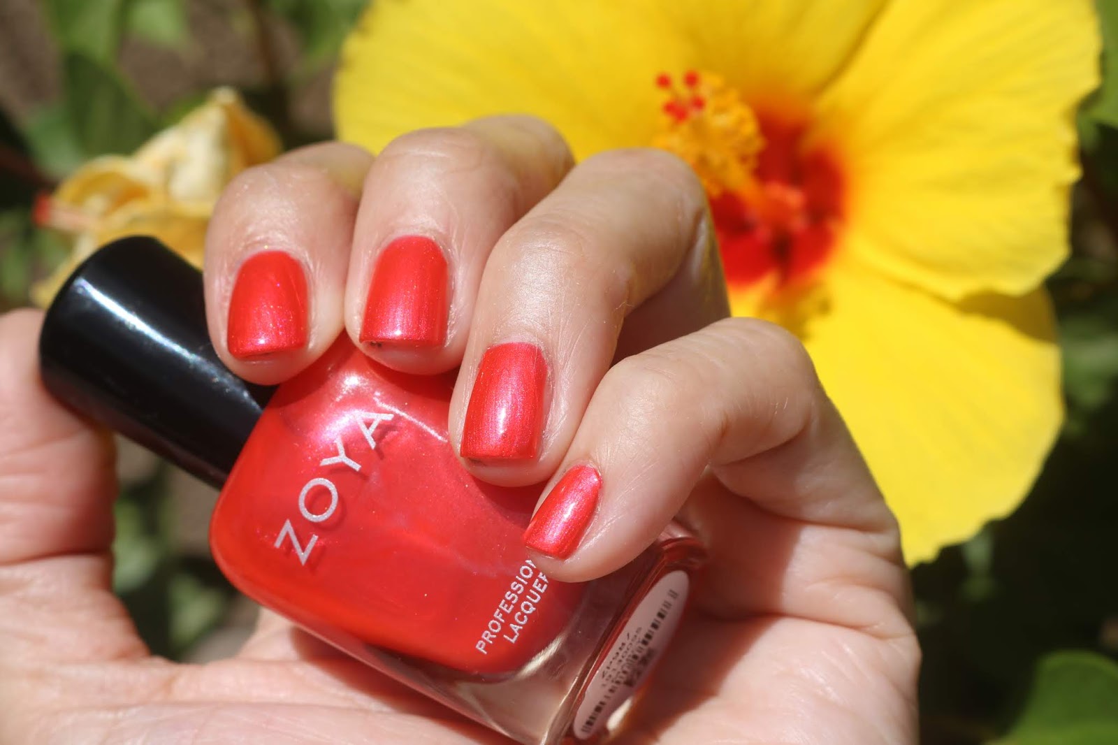 Zoya Marcy