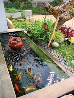 Model Kolam Ikan Minimalis Sederhana Terbaik dan Terbaru Model Kolam Ikan Minimalis Sederhana Terbaik dan Terbaru