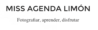 Miss Agenda Limón