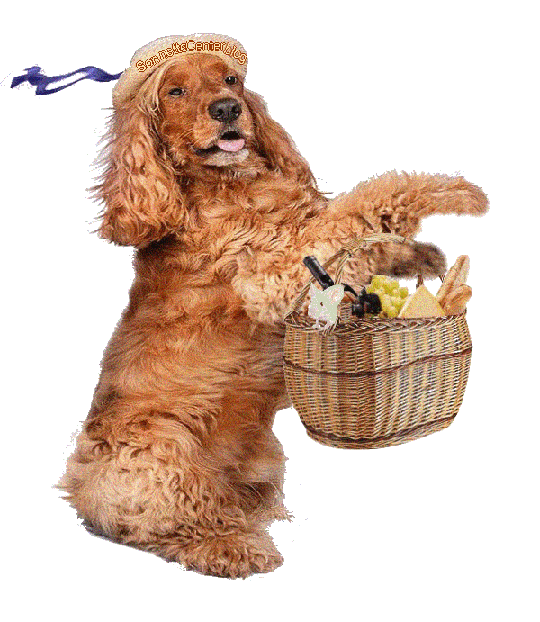 dogs and baskets