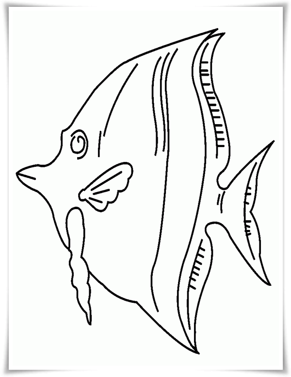 Fische Malvorlagen Zum Ausdrucken Gratis - Malvorlagen Fische Malvorlagen Zum Ausdrucken Gratis - Malvorlagen