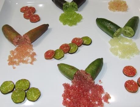 Vários frutos de lima caviar