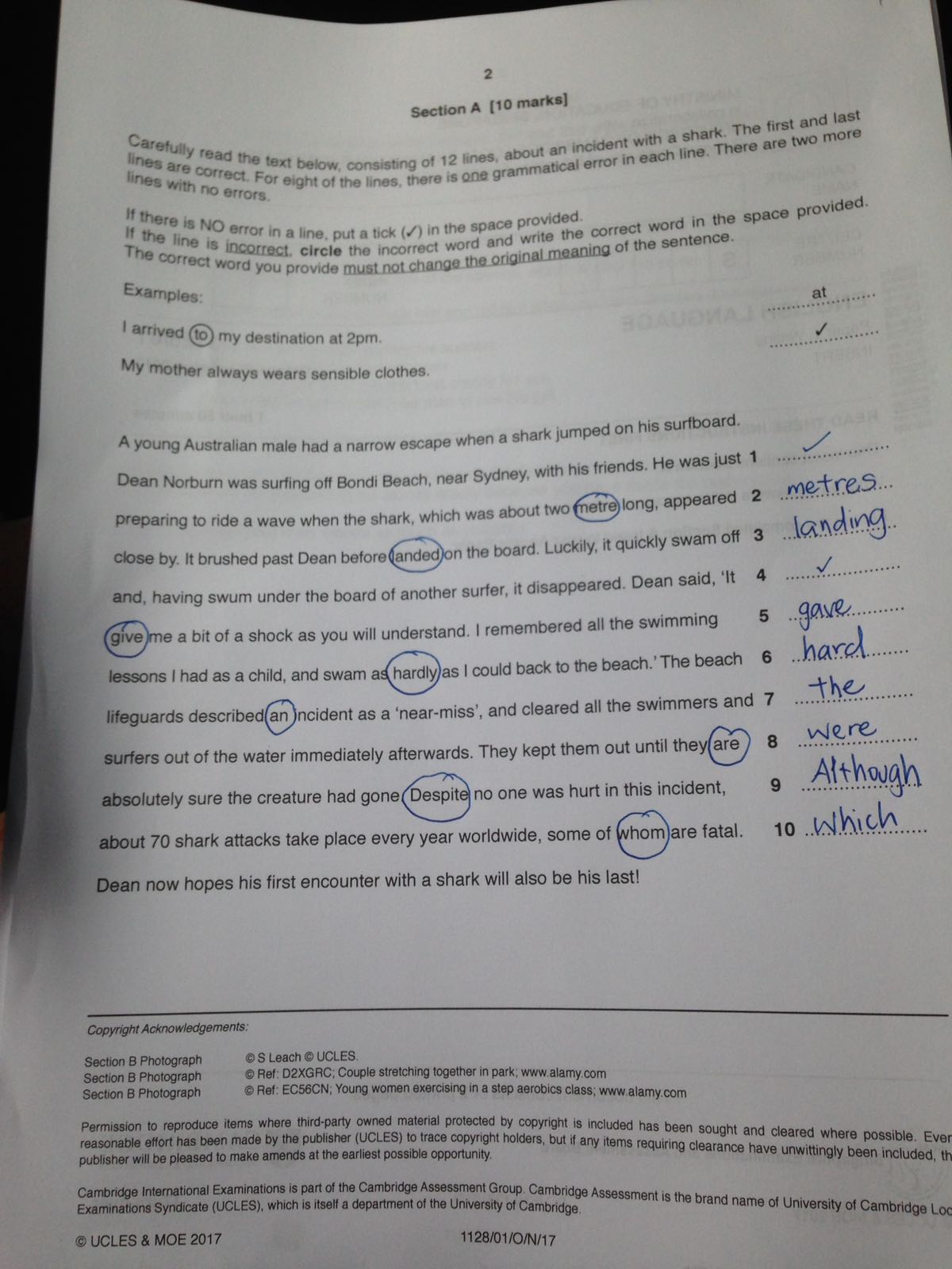 English language editing services picture