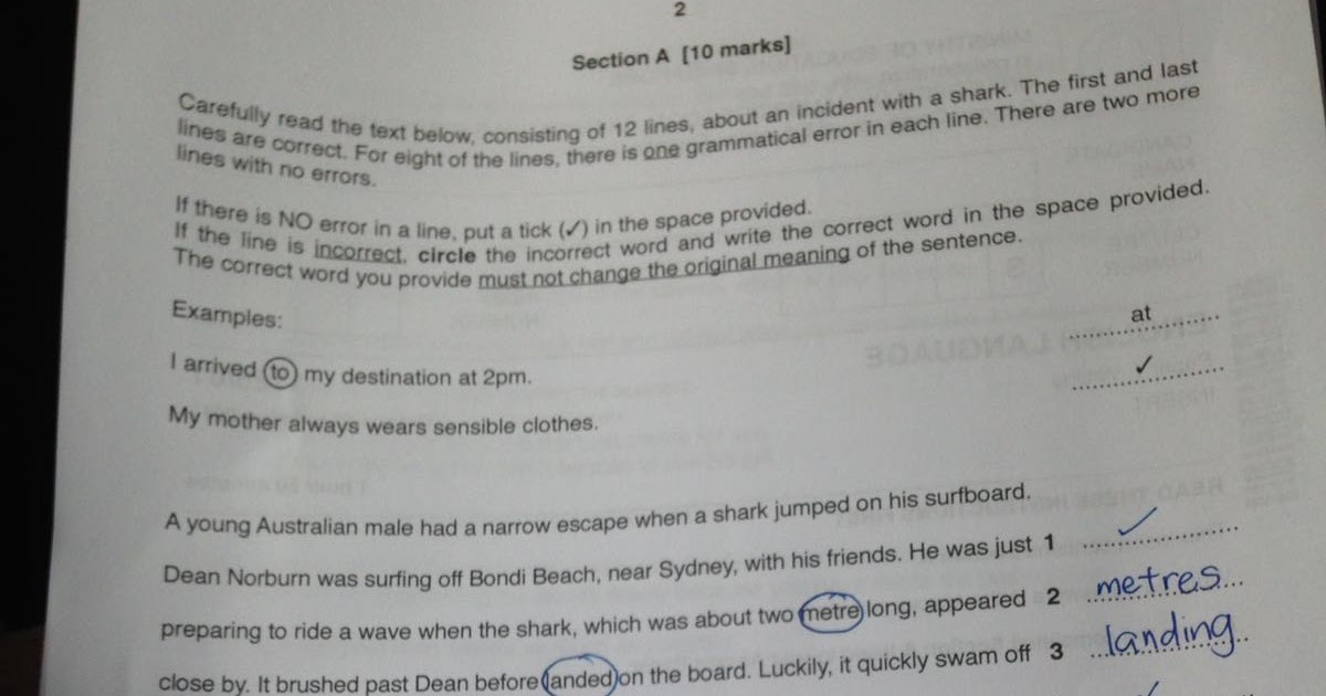 Allumette Tuition Center: 2017 O level English Paper 1 Editing Answers