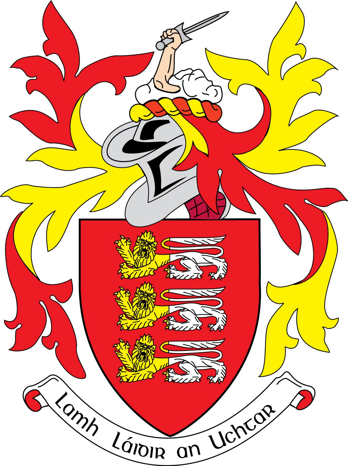 House of Brian Boru Irish Pedigrees O'Brien Kings of Thomond (1)