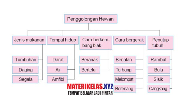 Rangkuman Materi Kelas 3 Sd Mi Ipa Semester 1 2 Paket Soal Kumpulan Soal Sd Smp Sma Dan Smk Lengkap