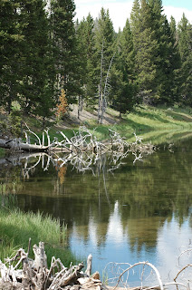 Yellowstone National Park from www.traceeorman.com