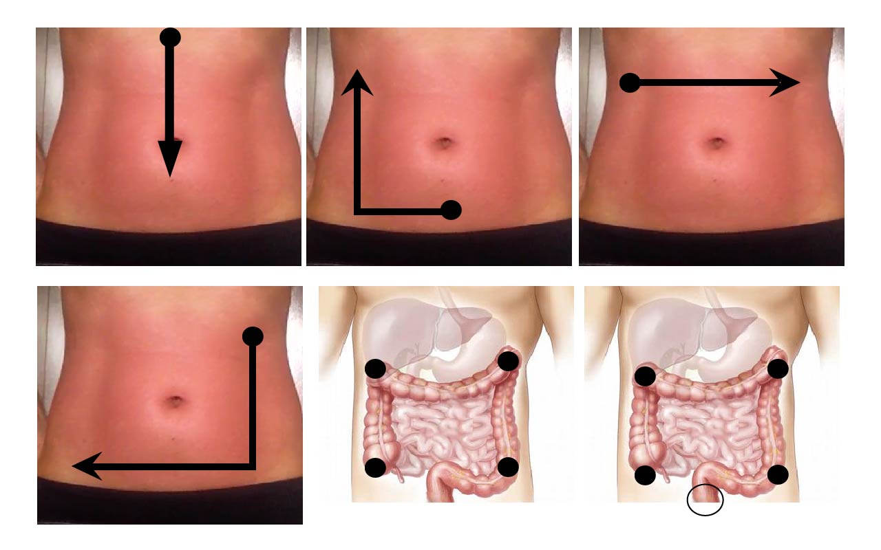 Adelgazar barriga con masajes como