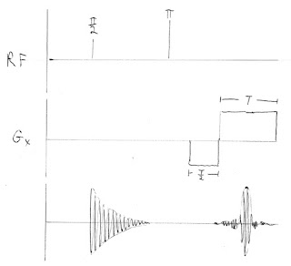 MRI frequency encoding pulse sequence