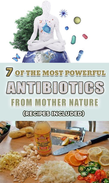 7 OF THE MOST POWERFUL ANTIBIOTICS FROM MOTHER NATURE