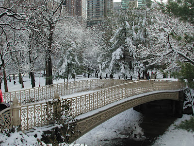 Christmas in New York Central Park