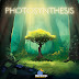 Photosynthesis Review