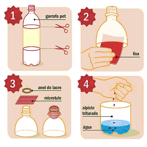 Educar na Real: O Dia D de Combate ao Mosquito Aedes aegypti - #