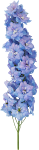 Flower_44.png