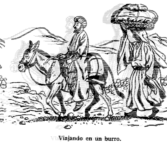 Que significa soñar con asno