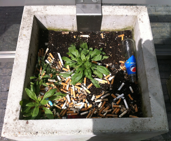 the case against smoking bans Update 3/2008: 1) implementing a smoking ban is the most anti-business stance a local government can. the case against smoking bans Update 3/2008: 1) implementing a smoking ban is the most anti-business stance a local government can.