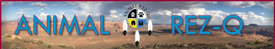 Animal Rez-Q Thrift Store