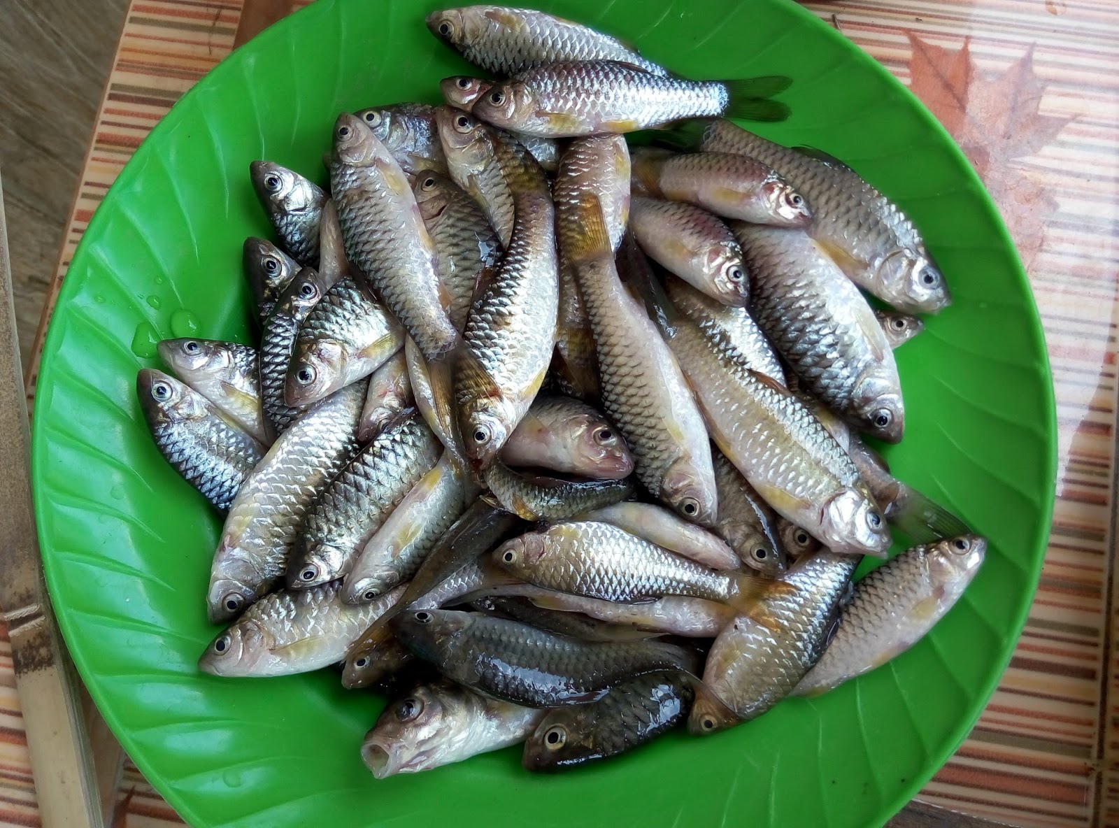 Warung KaTa (Kanda Takon) Pusur: Ini Wader