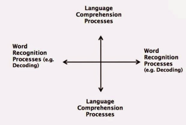Whakaahuatanga: How to Identify Reading Difficulties