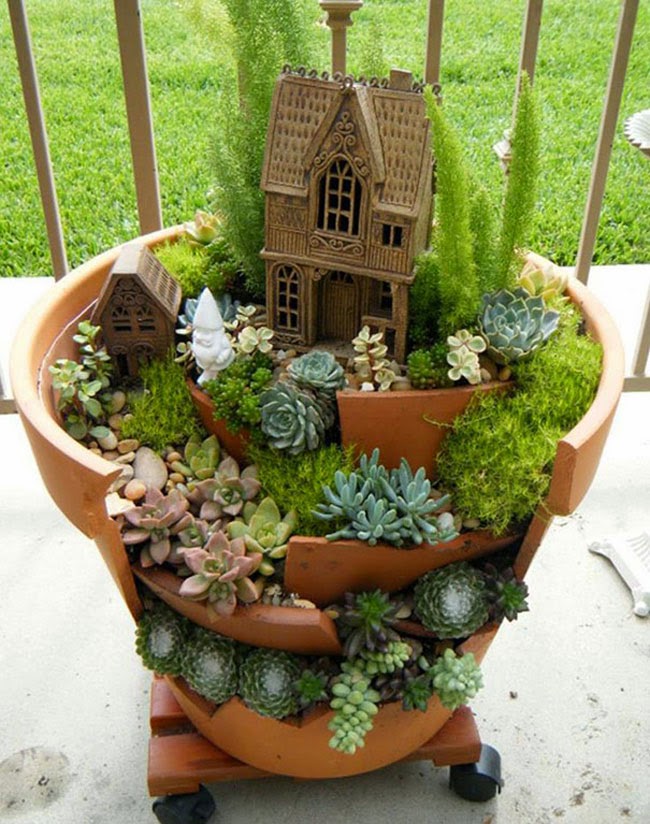 cool-broken-pot-cacti-flowers.jpg