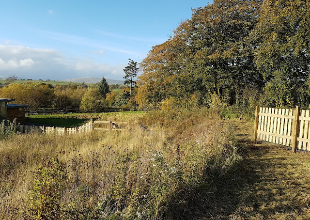 new nursery fence new nursery fence