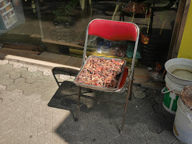 Bombax ceiba (red silk-cotton, kapok) flowers drying on a chair