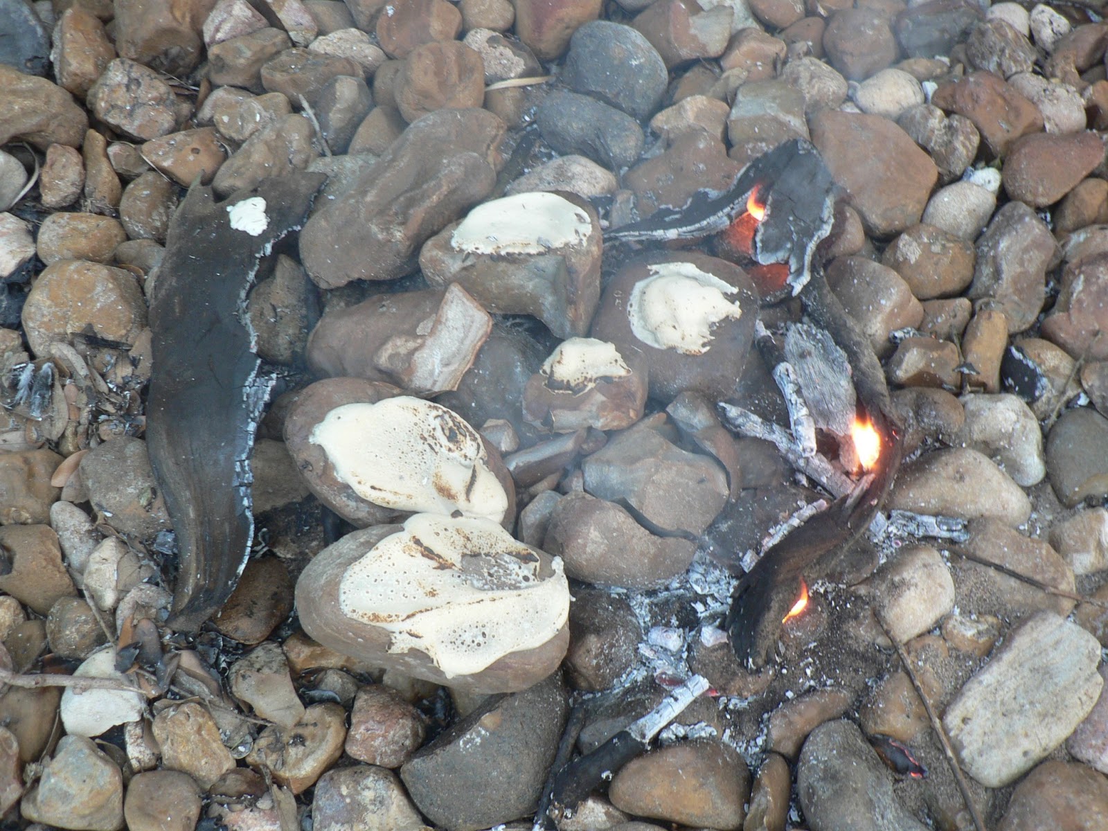Nicolas Xiong's Living History Journal: Making Firecake!