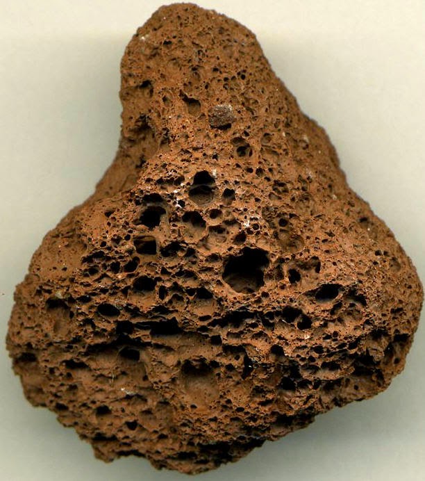 French Vocabulary Illustrated scorie