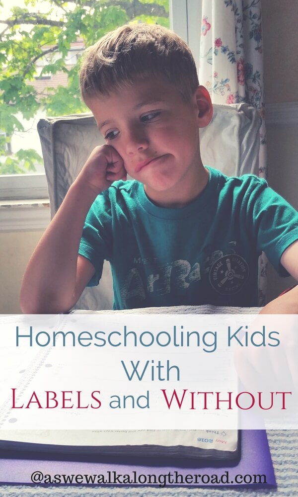Homeschooling special needs children Homeschooling special needs children