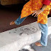 Tamil hindu calcutre of Temple